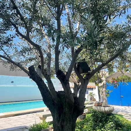 Belle Avec Piscine Et Patio Proche Montpellier Jacou