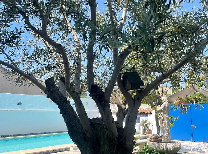 Belle Avec Piscine Et Patio Proche Montpellier Jacou